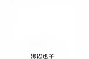 玻璃温室里的证词封面：温室玻璃上的水痕与清晨光照